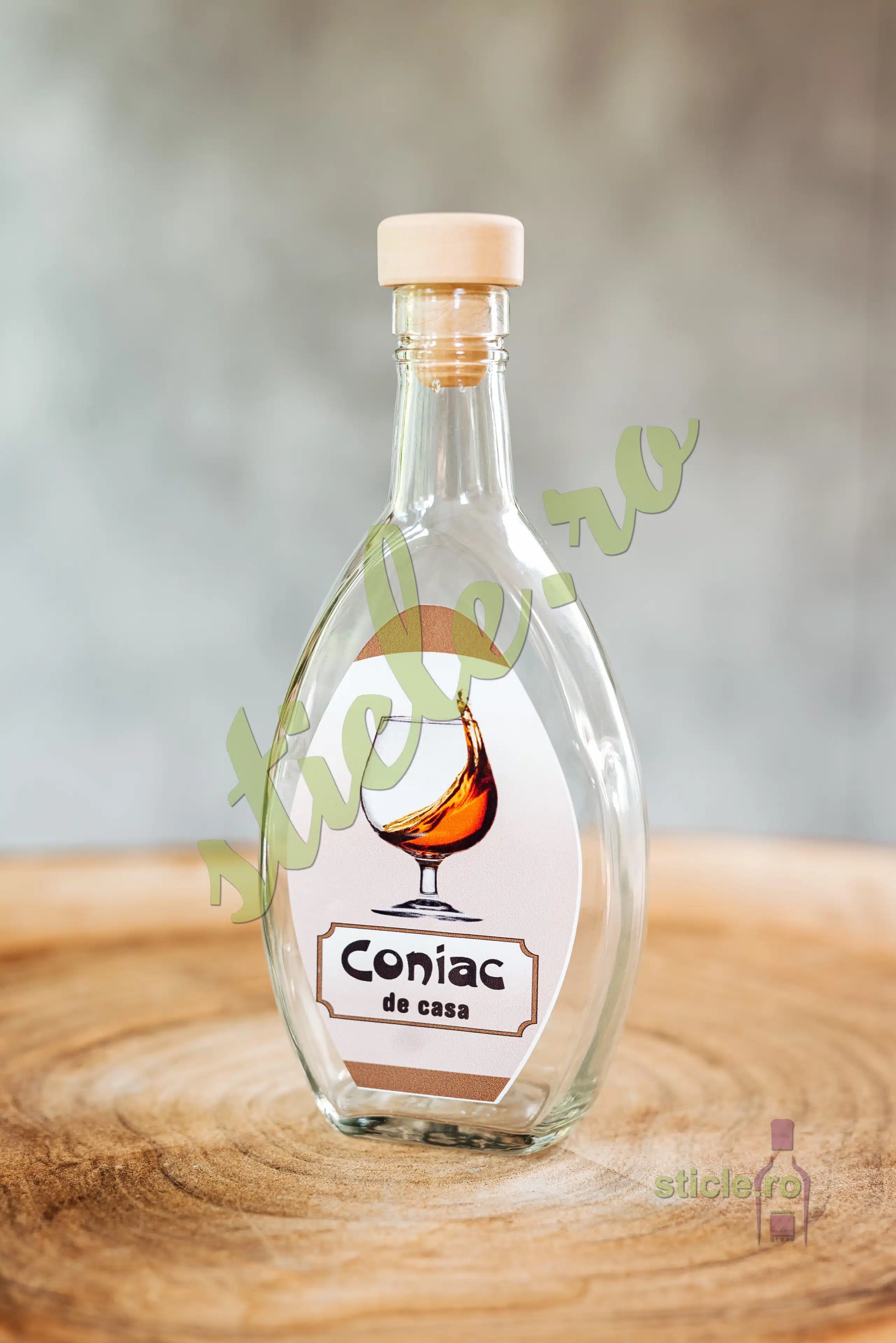 Foto Sticla BISTRO 200 ML