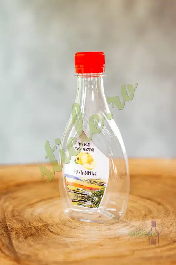 Foto Sticla Plastic IKONA 250 ML