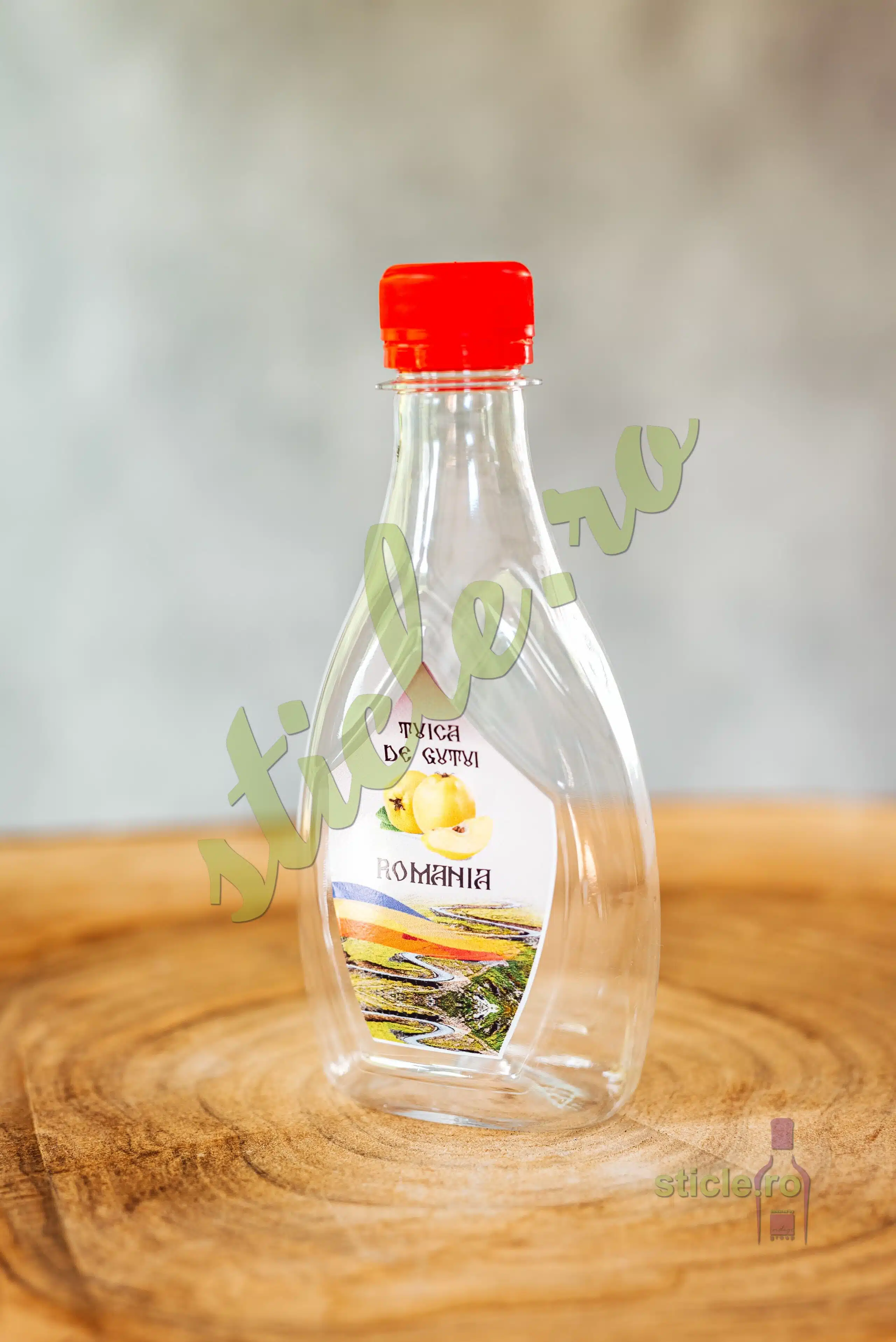 Foto Sticla Plastic IKONA 250 ML