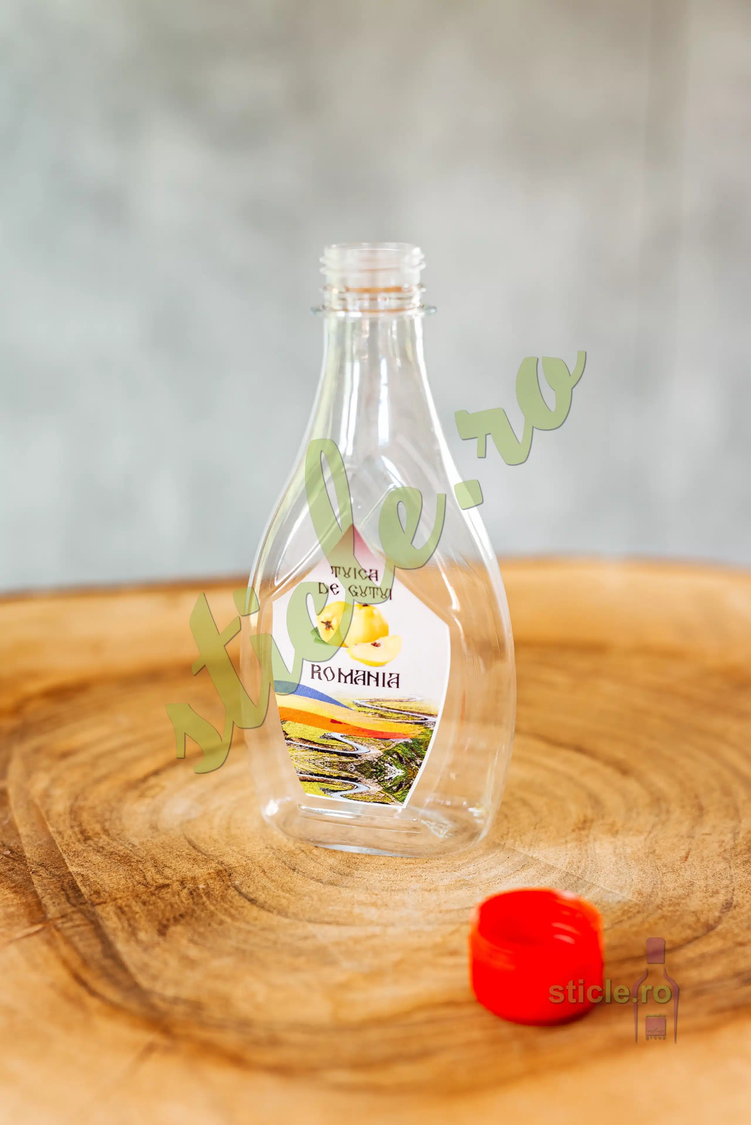Foto Sticla Plastic IKONA 250 ML